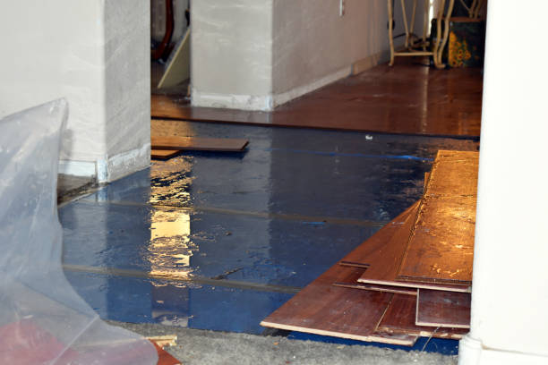Professional Basement Flood Cleanup technician working in Lawson, MO